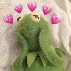 Meet your Posher, Iara